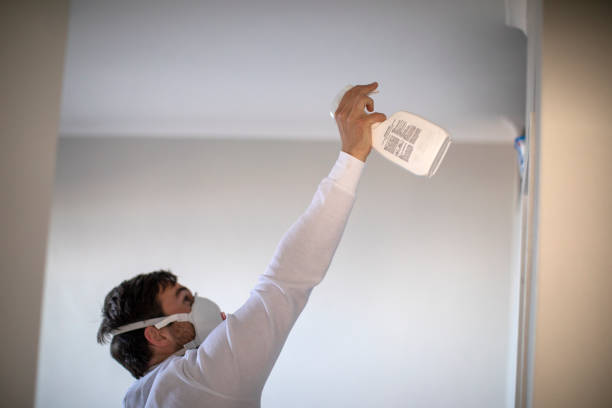 Mold Testing and Removal in Dousman, WI